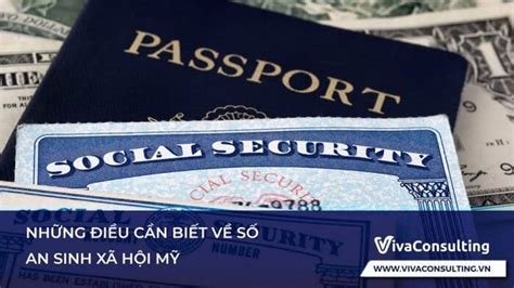 ssn là gì|Tìm hiểu ssn là gì và tại sao nó quan trọng trong đời sống của bạn.